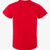 Allstar T-shirt Fliegender Fechter